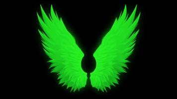 Animation grüne Flügel isolieren auf schwarzem Hintergrund. video