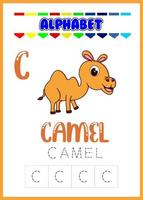 alphabet letter c with camel vector