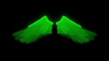 Animation grüne Flügel isolieren auf schwarzem Hintergrund.