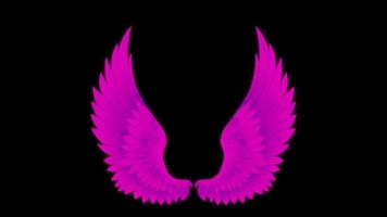 asas de animação roxa isolam em fundo preto. video