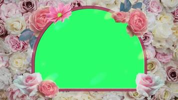 animazione fiore rosa cornice in fiore su sfondo verde. video