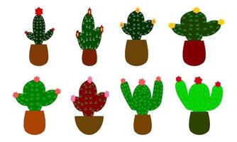 set of cactus plants design vector
