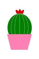 cactus in a pot vector