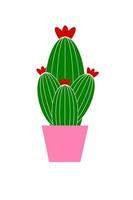 cactus in a pot vector