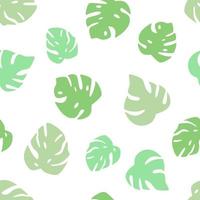 Seamless pattern of monstera leaves. Background wallpaper of a tropical plant in a flat style vector