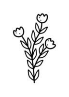 Poppy flower, vector illustration of a field poppy branch with leaves and flowers, doodle style.