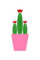 cactus in a pot vector