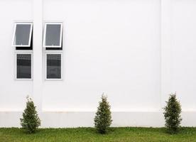 Se abrió una pequeña ventana en la pared lateral trasera. foto