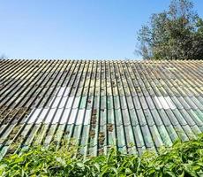 Mossy tile roof photo