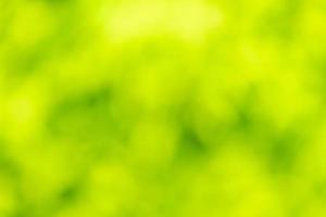 Green abstract background. photo