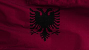 fondo de bucle de bandera de albania 4k video