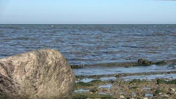 lage hoekmening op watergolven aan de kust van een strand aan de Oostzee op een zonnige dag. video