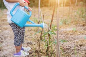 niña regando el árbol con regadera foto