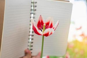 Woman taking notes in a white flower garden photo