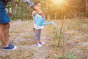 Little girl watering tree with watering pot photo