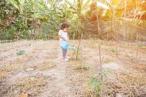 niña regando el árbol con regadera foto