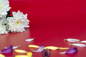 Flower petals on red background. Valentine's and Mother's Day concept photo