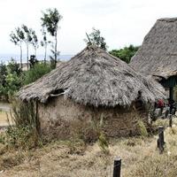 una vista del campo de kenia en el camino a kimilili foto