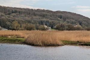 A view of Leighton Moss Nature Reserve in the Lake District photo