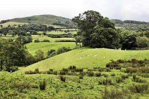 A view of the Lake District in the summer photo