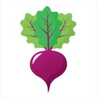 Beet isolated on white background. Eco food. Website design, mobile app. Vector illustration vegetable in cartoon style