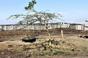 A view of the Kenya Countryside on the way to Kimilili photo