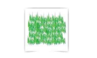 Grass vector collection - Set of grass and plant graphical resources.