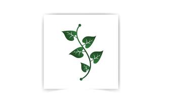 Green leaves isolated on white background. Vector illustration.