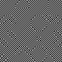 Dizzy Optical Black and White Maze Lines vector
