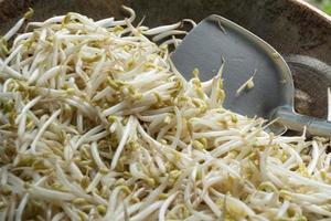 Cooked bean sprouts on a steel pan at a restaurant. photo