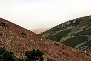 A view of the Wales Countryside near Lake Vyrnwy photo