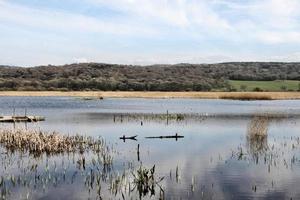 A view of Leighton Moss Nature Reserve in the Lake District photo