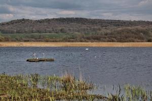 A view of Leighton Moss Nature Reserve in the Lake District photo