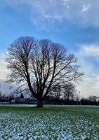 una vista de la campiña de whitchurch en la nieve foto