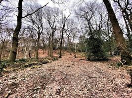 una vista de la campiña de cheshire en las colinas de peckforton foto