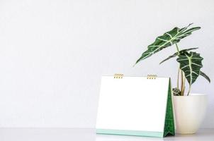 maqueta de calendario de pared de tapa de stock y toro alocasia sanderiana o planta de alocasia sobre un fondo de pared blanca. alta resolución. foto