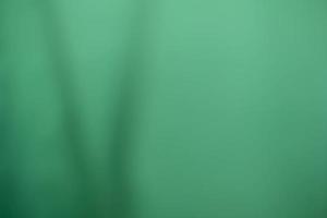 soft green gardain background has a little abstract light. soft background for wallpaper,design,graphic and presentation photo