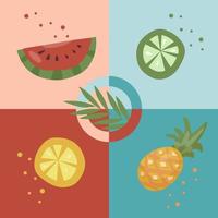 Fresh fruit slices. Vector elements of watermelon, orange, lime and pineapple. vegan food