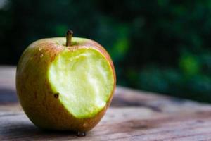 A close up shot of a half eaten apple with visible seed in natural settings photo