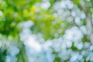 Sunny abstract green nature background. Abstract blur green color for background. Blur natural green leaves bokeh background photo