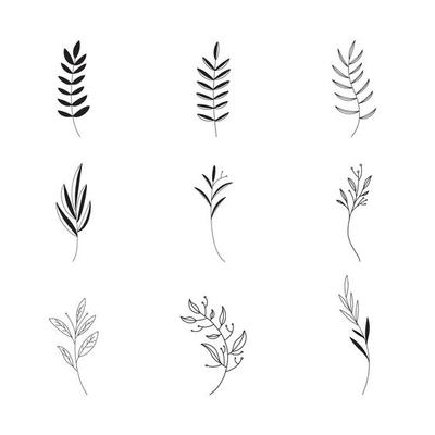 Hand drawn Set of botanical leaf doodle wildflower line art