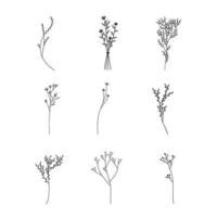 elementos decorativos de adornos florales dibujados a mano vector