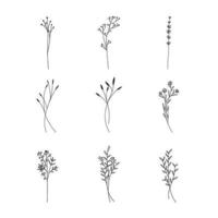 elementos decorativos de adornos florales dibujados a mano vector