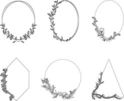 Hand drawn botanical elements set vector