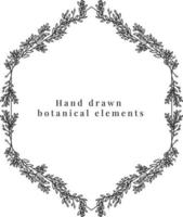 Hand drawn botanical elements vector