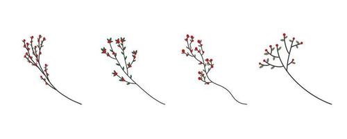 árbol de aquifolium y acebo para la colección de vectores de decoración
