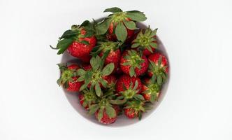 Fresh strawberry in a bowl isolated on white background. Top view photo