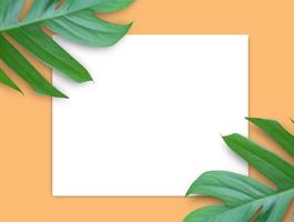 white paper and green leaves on orange background.