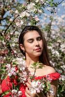 Young caucasian woman enjoying the flowering of an apple trees photo