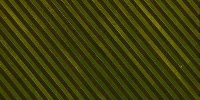 abstract background. striped texture photo